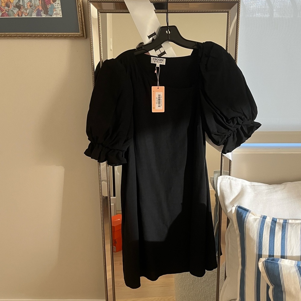 Crosby by Mollie Burch Black Linen dress with pockets